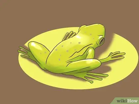 Найди лягушку Шаг 11