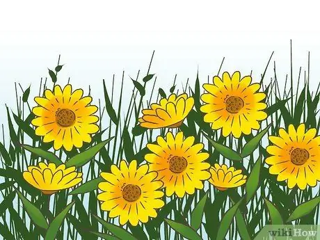 Найди лягушку Шаг 13