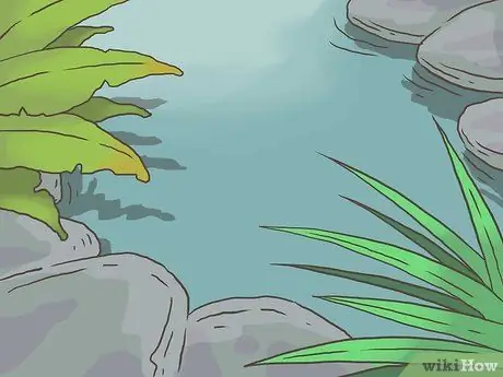 Найди лягушку Шаг 14