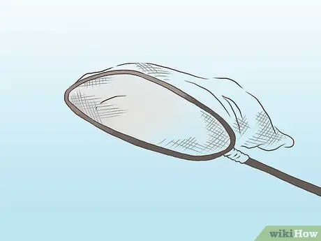 Найди лягушку Шаг 8