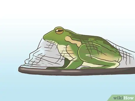 Найди лягушку Шаг 9