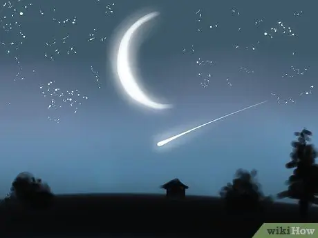 Поймать лягушку-быка Шаг 4