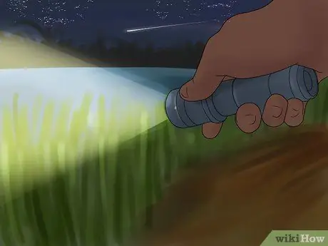 Поймать лягушку-быка Шаг 5