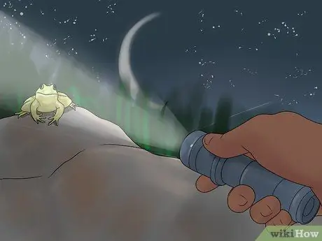 Поймать лягушку-быка Шаг 7