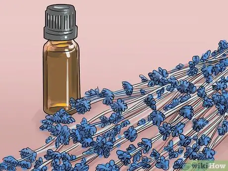 Успокойте собаку во время грозы Шаг 8