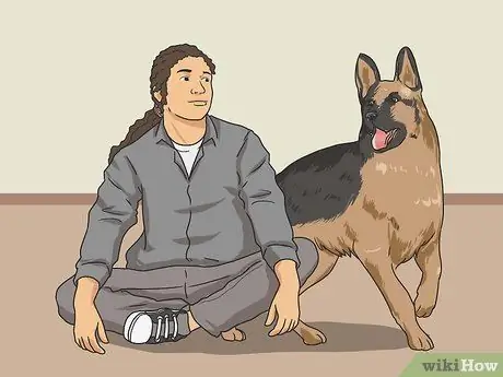 Дрессировка робкой собаки Шаг 10