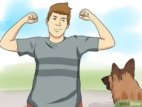 Дрессировка робкой собаки Шаг 2