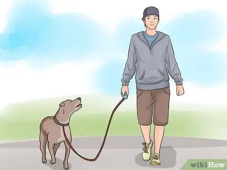 Дрессировка робкой собаки Шаг 3