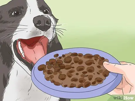 Дрессировка робкой собаки Шаг 4