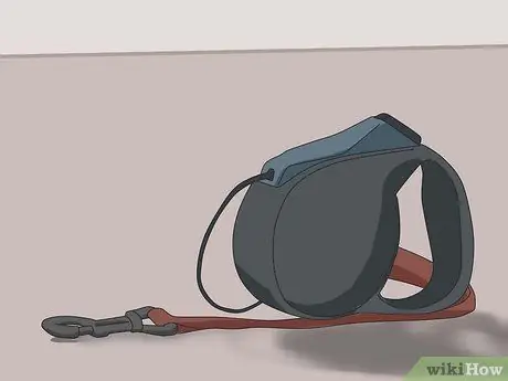 Дрессировка робкой собаки Шаг 7