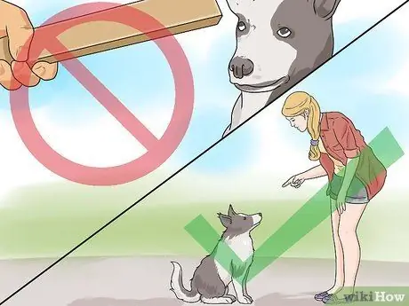 Дрессировка робкой собаки Шаг 8