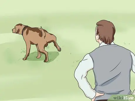 Дрессировка робкой собаки Шаг 9