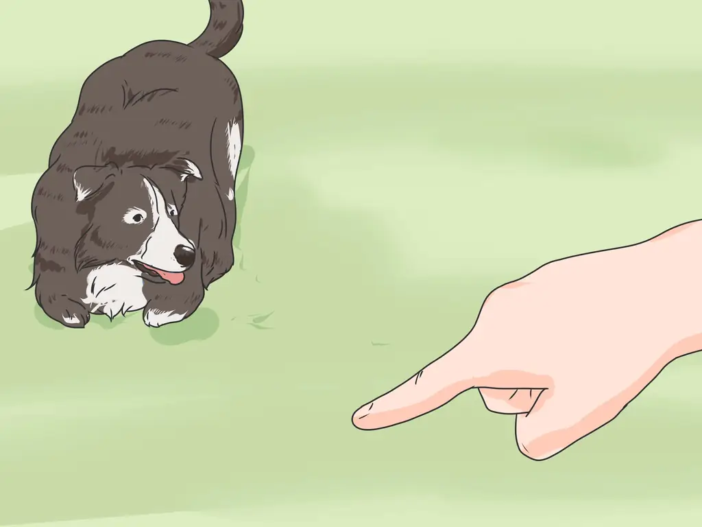 Как приручить робкую собаку: 13 шагов (с иллюстрациями)