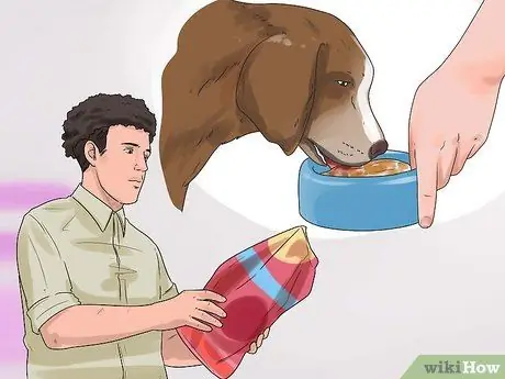 Заставьте собаку полностью расслабиться Шаг 4