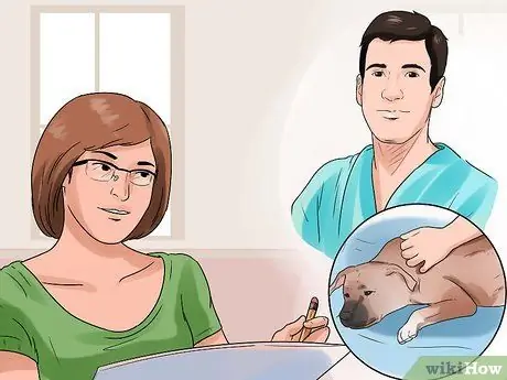 Заставьте собаку полностью расслабиться Шаг 5