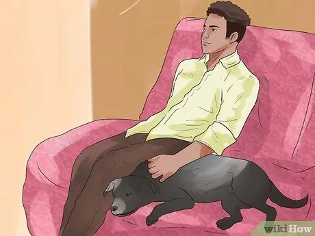 Заставьте собаку полностью расслабиться Шаг 7