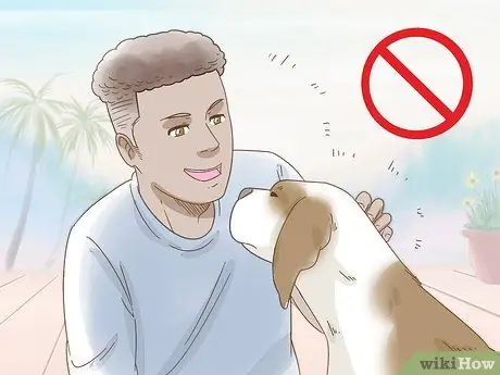 Снижение беспокойства у собак Шаг 1