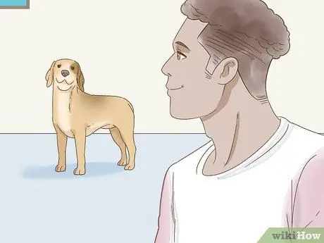 Снижение беспокойства у собак Шаг 2