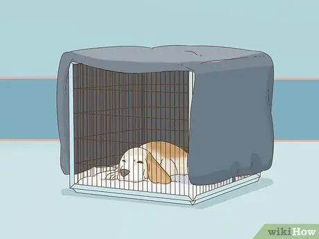 Снижение беспокойства у собак Шаг 4