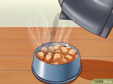 Заставьте собак набрать здоровый вес Шаг 10