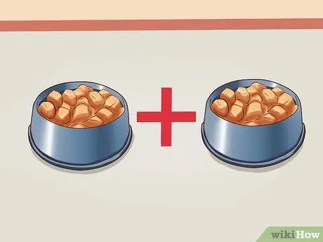 Заставьте собак набрать здоровый вес Шаг 6