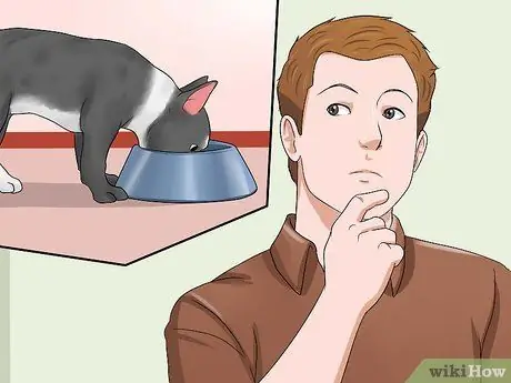 Помогите своей собаке похудеть Шаг 13