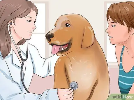 Проверьте собаку на стригущий лишай Шаг 6