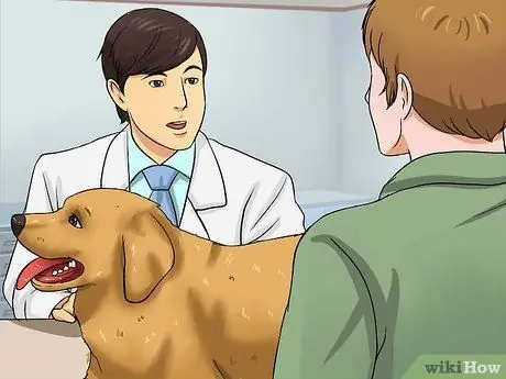 Помогите своей собаке похудеть, шаг 4