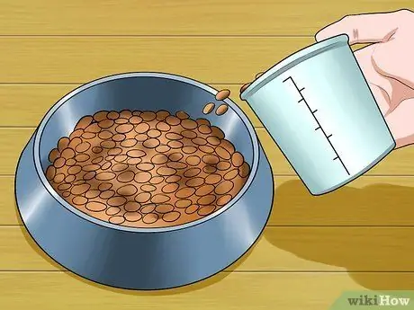 Помогите своей собаке похудеть Шаг 8