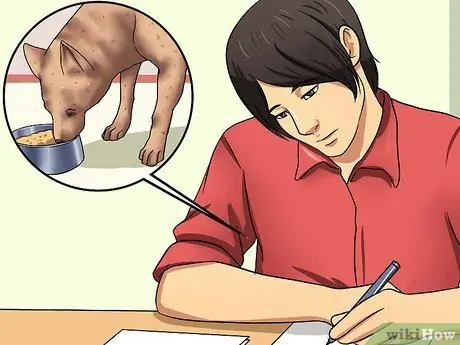 Помогите своей собаке похудеть Шаг 9