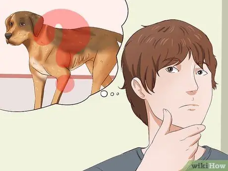 Откормить собаку Шаг 1