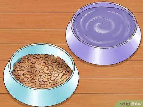 Откорми собаку Шаг 11