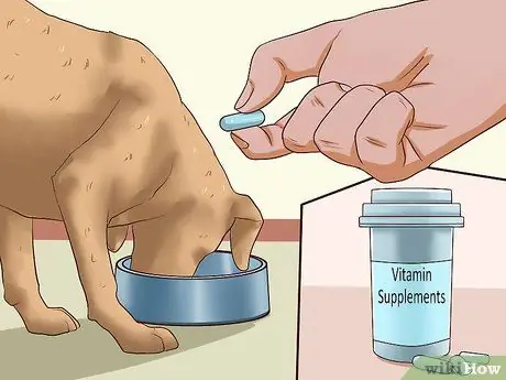 Откорми собаку Шаг 13