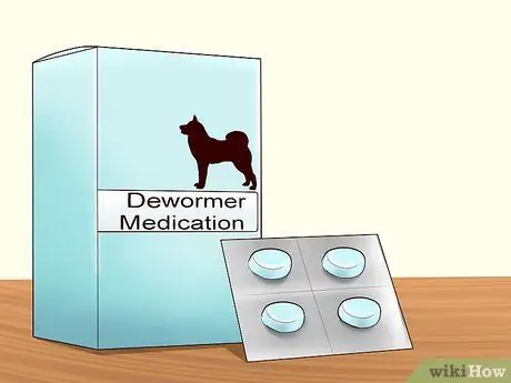 Откорми собаку Шаг 14