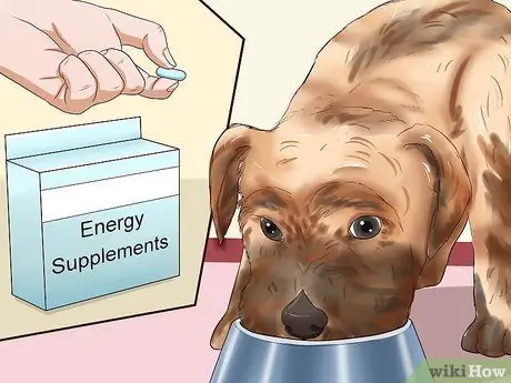 Откорми собаку Шаг 15