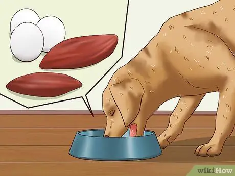 Откорми собаку Шаг 9