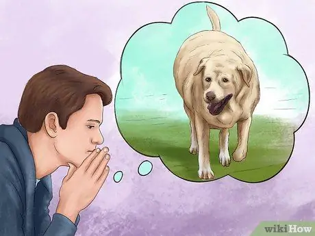 Лечить ожирение у лабрадоров-ретриверов Шаг 13