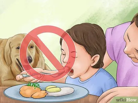 Лечить ожирение у лабрадоров-ретриверов Шаг 3