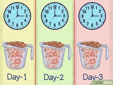 Лечить ожирение у лабрадоров-ретриверов Шаг 5