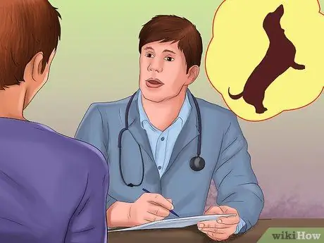 Лечить ожирение у лабрадоров-ретриверов Шаг 8