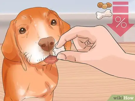 Улучшение аппетита у пожилой собаки Шаг 5
