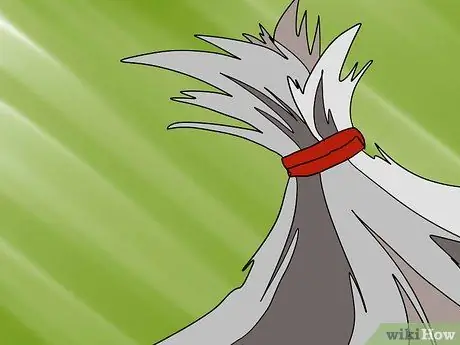 Как определить правильный вес йорка Шаг 7