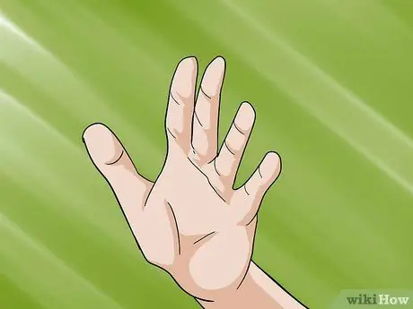 Как определить правильный вес йорка Шаг 8