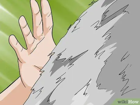 Как определить правильный вес йорка Шаг 9