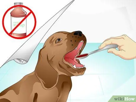 Уход за больной собакой Шаг 16