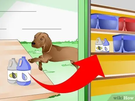 Уход за больной собакой Шаг 17