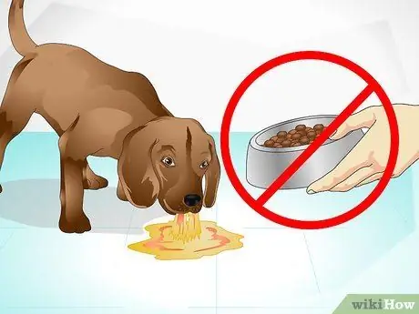 Уход за больной собакой Шаг 4