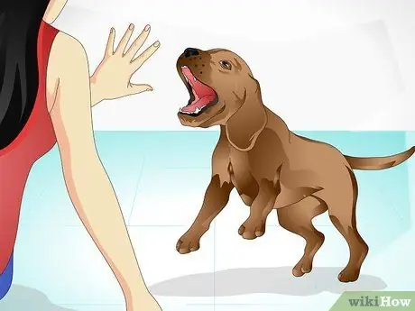 Уход за больной собакой Шаг 7