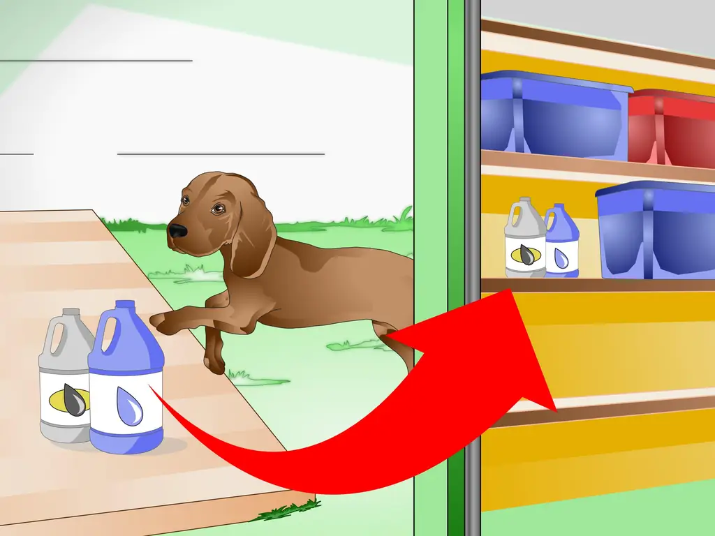 Как ухаживать за больной собакой (с иллюстрациями)