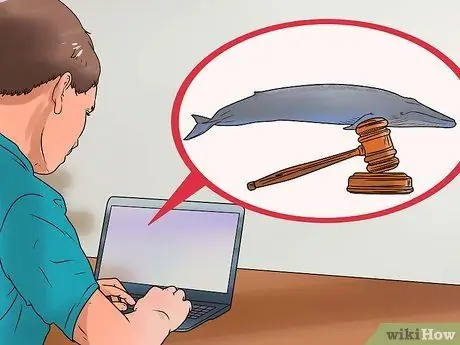 Помогите остановить китобойный промысел Шаг 1